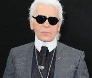 lagerfeld-diginer-hollywood-25012014