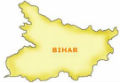 11 killed in bihar from power down
